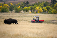 A modern interpretation of a roundup.