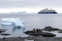 Our 130 passenger ship, the NAT GEO Resolution was a bit more modern.